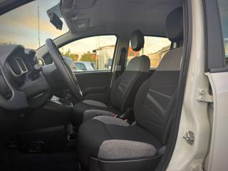 FIAT Panda usata, con Airbag testa