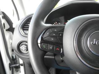 JEEP Renegade usata, con Airbag testa