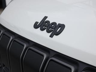 JEEP Avenger usata, con Portellone posteriore elettrico