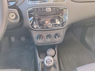 FIAT Punto usata, con Sedile posteriore sdoppiato