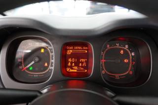 FIAT Panda usata 12