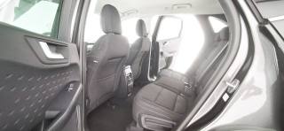 FORD Kuga usata, con Adaptive Cruise Control