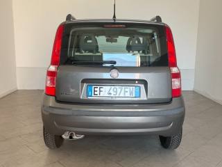FIAT Panda usata 5