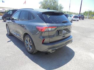 FORD Kuga usata, con Cruise Control