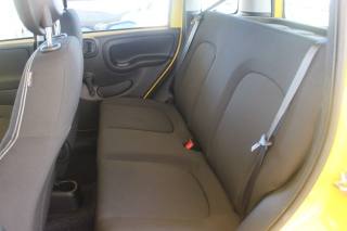 FIAT Panda usata 20
