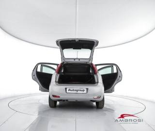FIAT Punto usata 6
