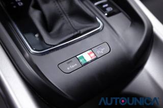 ALFA ROMEO Tonale usata, con Bracciolo