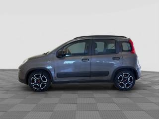 FIAT Panda usata 1
