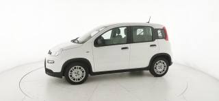 FIAT Panda usata 27