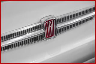 FIAT 850 usata 12