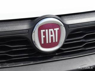 FIAT Doblo usata 23