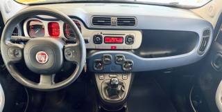 FIAT Panda usata, con Cronologia tagliandi