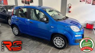 FIAT Panda usata, con Alzacristalli elettrici