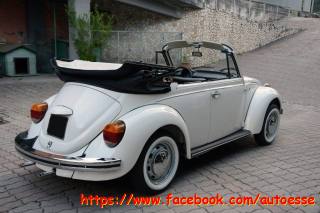 VOLKSWAGEN Maggiolone usata 5