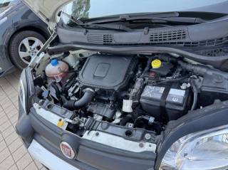 FIAT Panda usata, con Regolazione elettrica sedili