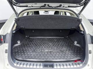 LEXUS NX 300h usata 8