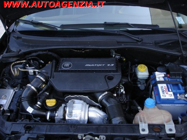 FIAT Punto usata 13