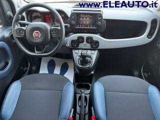 FIAT Panda usata, con Fendinebbia