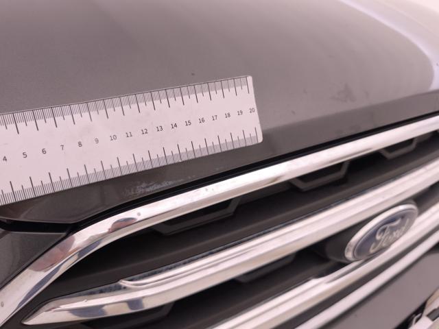 FORD EcoSport usata, con Sensore di luce