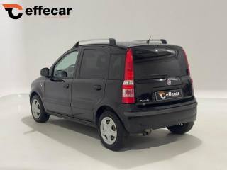 FIAT Panda usata, con Alzacristalli elettrici