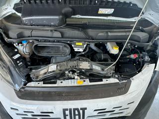 FIAT Ducato usata, con ESP