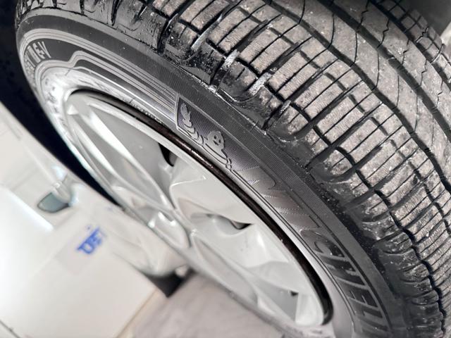 RENAULT ZOE usata, con Specchietti laterali elettrici