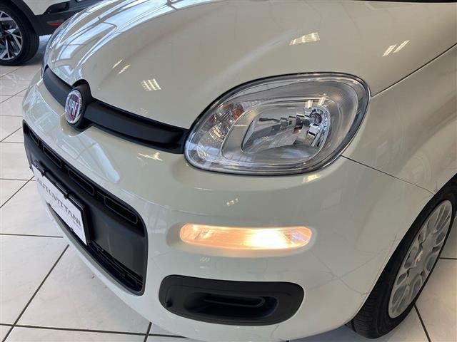 FIAT Panda usata 13