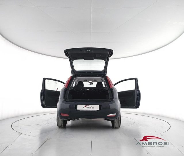 FIAT Punto usata 6