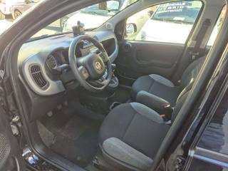 FIAT Panda usata, con Climatizzatore