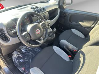 FIAT Panda usata, con Alzacristalli elettrici