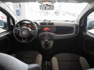 FIAT Panda usata, con Monitoraggio pressione pneumatici