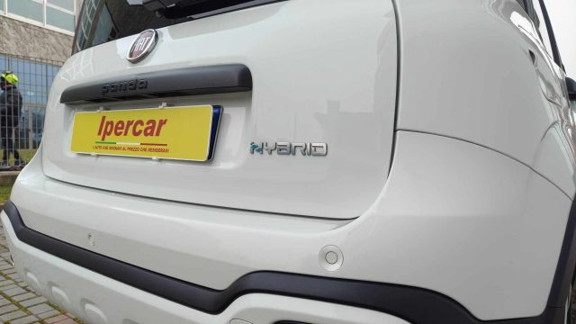FIAT New Panda usata, con Fendinebbia