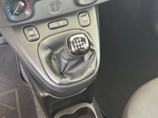 FIAT Panda usata 17