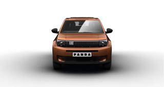 FIAT Grande Panda usata, con Airbag