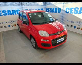FIAT New Panda 1.0 firefly hybrid 70cv 5 posti