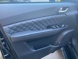 FOTON Tunland G7 usata, con Controllo trazione