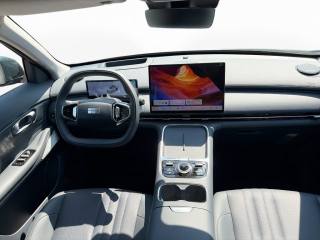 GEELY Starray EM-i usata 8