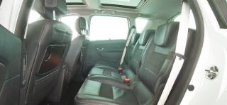 RENAULT Scenic usata, con Filtro antiparticolato