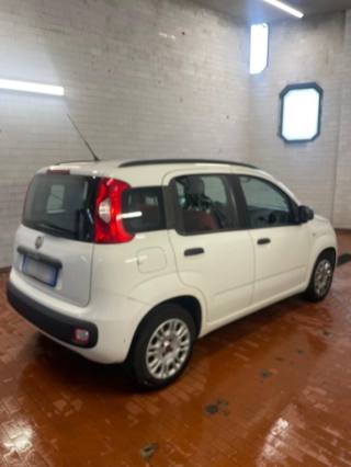 FIAT Panda usata, con Alzacristalli elettrici