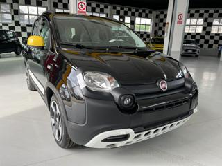 FIAT Panda usata 19