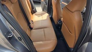 LEXUS UX 250h usata, con Controllo trazione