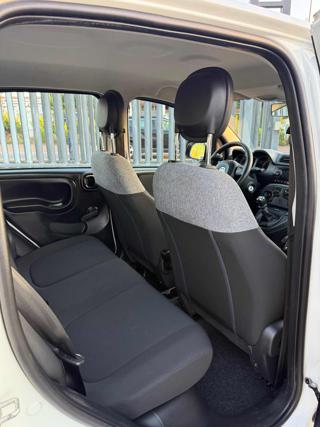 FIAT Panda usata 13