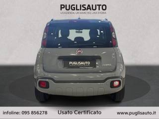 FIAT Panda Cross usata, con Antifurto