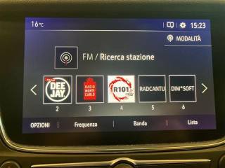 OPEL Grandland X usata, con Autoradio digitale