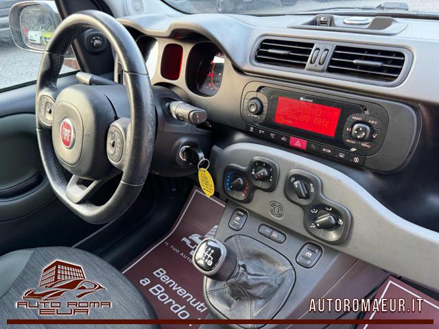 FIAT Panda usata, con Controllo vocale