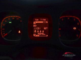 FIAT Panda usata 12