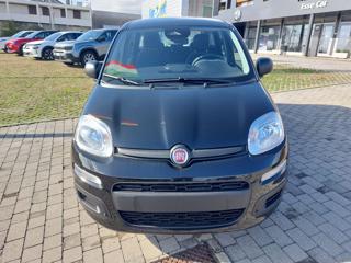 FIAT Panda usata, con Chiusura centralizzata
