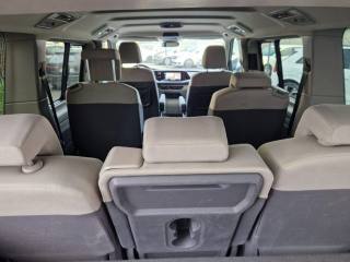 VOLKSWAGEN Multivan usata, con Fendinebbia