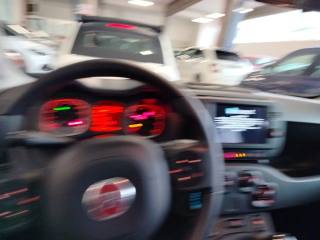 FIAT Panda Cross usata 17