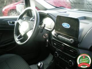FORD EcoSport usata, con Fendinebbia